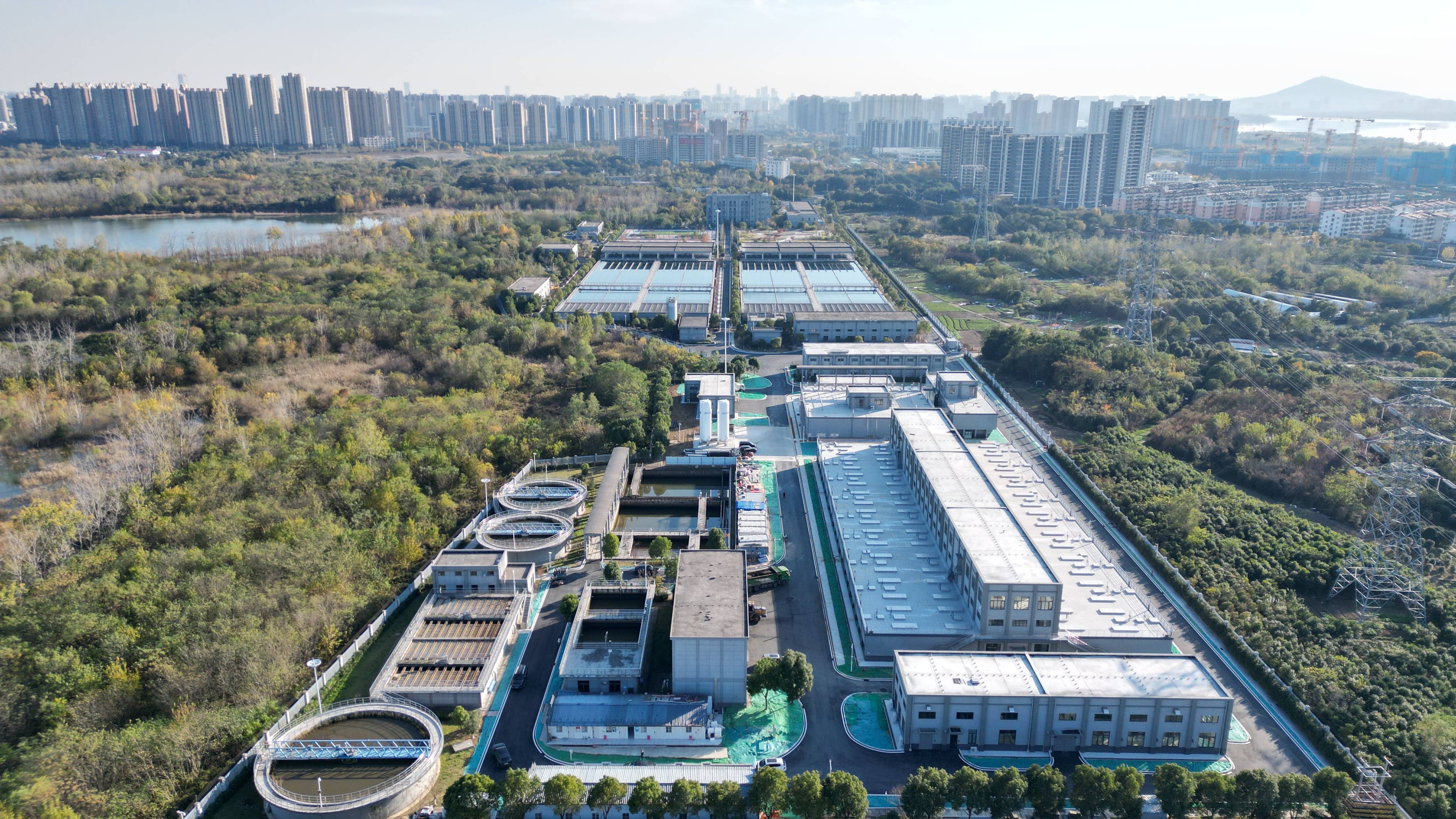 神农架林区合肥专业企业价值增长(合肥市重点企业产业目录)